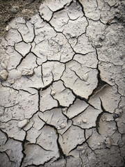 Dry cracked earth background. Drought ground with cracks on surface. Detailed texture, concept of global warming, environmental disaster.	
