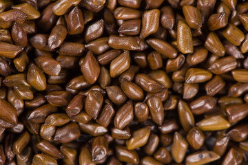 Chinese herbal medicine cassia seeds background