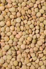 raw lentil culinaris beans textured background