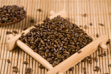 Chinese herbal medicine cassia seeds on wood background