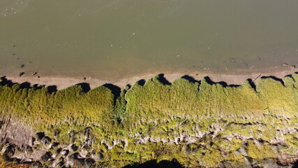Abstract textures and veins cutting thru the wetlands of a tidal river system in Tasmanias Swan river area, Australia