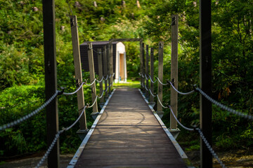 Obraz premium 富山県富山市の立山連峰、鍬崎山、大品山、瀬戸蔵山の登山道の風景 A view of the trails in the Tateyama Mountain Range, Mt. Kuwasaki, Mt. Oshina, Mt. Setokura, Toyama city, Toyama prefecture. 