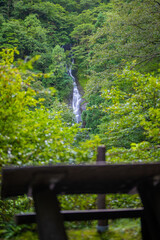 Fototapeta premium 富山県富山市の立山連峰、鍬崎山、大品山、瀬戸蔵山の登山道の風景 A view of the trails in the Tateyama Mountain Range, Mt. Kuwasaki, Mt. Oshina, Mt. Setokura, Toyama city, Toyama prefecture. 