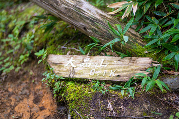 富山県富山市の立山連峰、鍬崎山、大品山、瀬戸蔵山の登山道の風景 A view of the trails in the Tateyama Mountain Range, Mt. Kuwasaki, Mt. Oshina, Mt. Setokura, Toyama city, Toyama prefecture. 