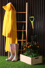 Beautiful blooming marigolds, gardening tools and accessories on green grass near wood slat wall