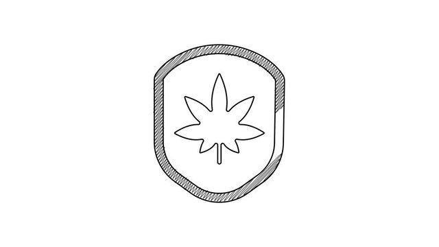 Black line Shield and marijuana or cannabis leaf icon isolated on white background. Marijuana legalization. Hemp symbol. 4K Video motion graphic animation