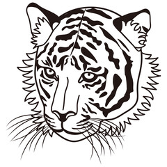 斜めを向いた白虎の顔のイラスト
