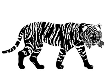 正面を向いている虎の顔のアップの白黒イラスト 葉書サイズ Wall Mural Dahlia
