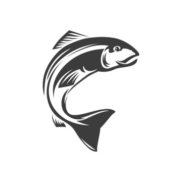 Salmon ray-finned underwater animal freshwater fish isolated monochrome icon. Vector seafood, marine food diet fish. Fishery mascot, trout fish grayling whitefish char fishing sport trophy
