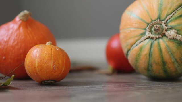 thanksgiving holiday concept. traditional orange little pumpkins harvest pumpkin rolling over the wooden floor