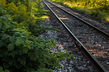 Railroad tracks at a train station in Saint Mary's, Ontario, Canada. Early morning, quiet, no...