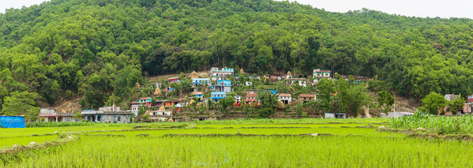 Fototapeta na wymiar ネパール　ポカラ近郊の民家と田園風景
