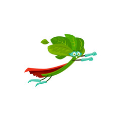 Cartoon spinach super hero isolated vector icon. Vegetable or greenery personage in cape and mask flying, funny fairytale character, healthy food, vitamin superhero © Vector Tradition
