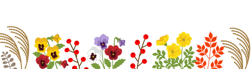 Autumn flower and plants