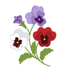 Pansy flower bouquet - Purple, Red, White