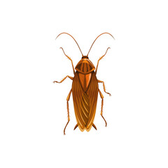 Cockroach icon, insect parasite and pest control, domestic disinsection, vector isolated. Cockroach or roach insect parasite, disease prevention, sanitary disinfection and extermination
