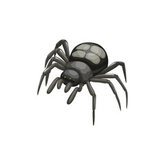 Spider icon, pest control insects extermination and disinsection service, vector. Spider insect, domestic sanitary disinfection and agriculture pesticide and parasites disinfestation pest control