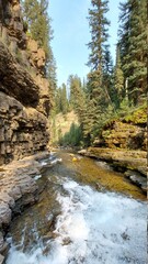 Fototapeta na wymiar river in the forest of ousel falls montana