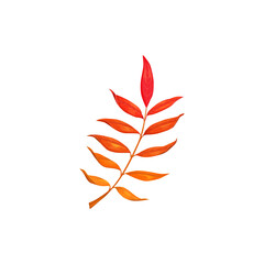 Fototapeta premium Autumn rowan leaf vector icon, cartoon fallen foliage, red tree leaf, natural design element, isolated botanical object on white background, sign or symbol
