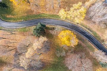 bike lane among colorful yellow trees and fallen leaves on the ground. autumn park landscape on sunny day. drone photo.