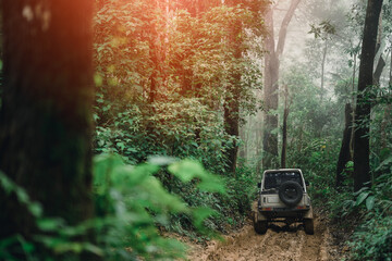 A muddy road in an evergreen forest has an off-road vehicle parked in the middle of the road. adventure concept © PIPAT