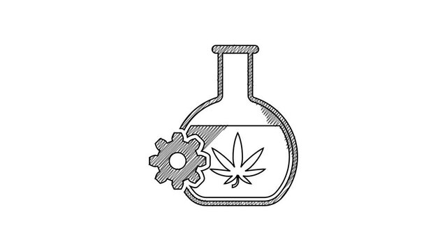 Black line Chemical test tube with marijuana or cannabis leaf icon isolated on white background. Research concept. Laboratory CBD oil concept. 4K Video motion graphic animation