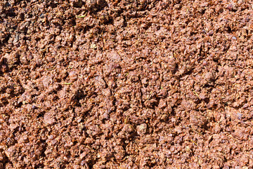 Grape pomace is the solid remains of grapes after pressing for juice and contains skins, and seeds. Close up.