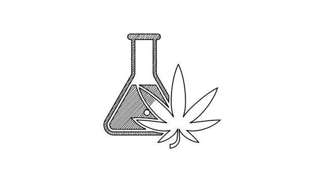 Black line Chemical test tube with marijuana or cannabis leaf icon isolated on white background. Research concept. Laboratory CBD oil concept. 4K Video motion graphic animation