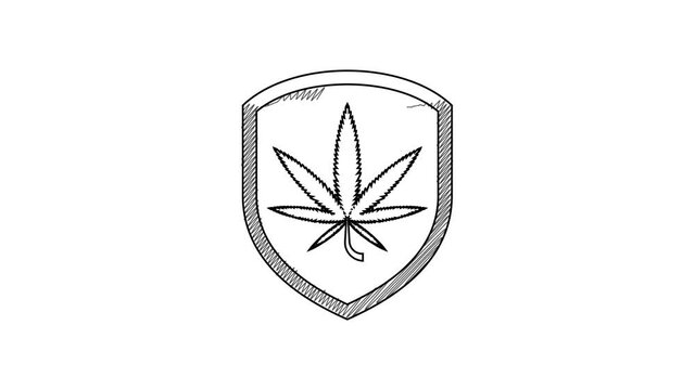Black line Shield and marijuana or cannabis leaf icon isolated on white background. Marijuana legalization. Hemp symbol. 4K Video motion graphic animation