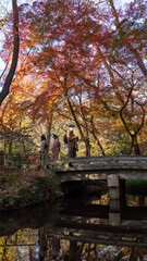 Fototapeta premium autumn in the city