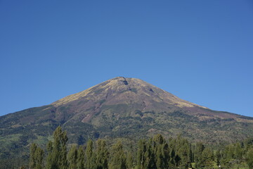 Fototapeta premium mountain in autumn