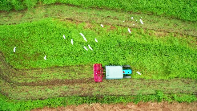 Aerial view of Tractor mowing agricultural farm grass field