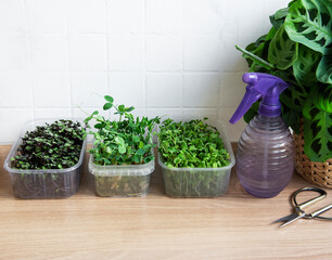 Assortment of micro greens on wooden table