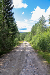 Fototapeta na wymiar Gravel road in the forest is a part of Kramstaleden (Kramsta Trail) in Järvsö