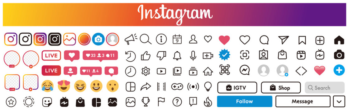 Instagram Icon