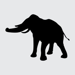 Elephant Silhouette, Elephant Isolated On White Background