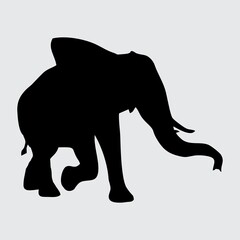 Elephant Silhouette, Elephant Isolated On White Background