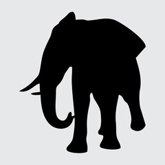 Elephant Silhouette, Elephant Isolated On White Background