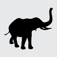 Elephant Silhouette, Elephant Isolated On White Background