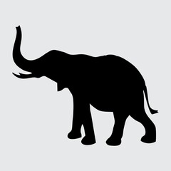 Elephant Silhouette, Elephant Isolated On White Background