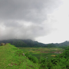 Fototapeta premium Beautiful rice field scene, on Ubud Bali Indonesia 