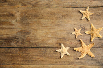 Fototapeta na wymiar Beautiful sea stars on wooden background, flat lay. Space for text