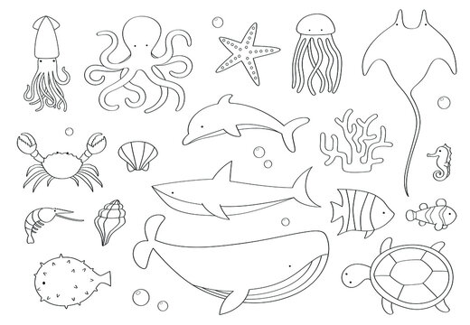 Doodle set of sea creatures on white background.