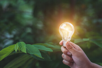 Ecology and environment concept.