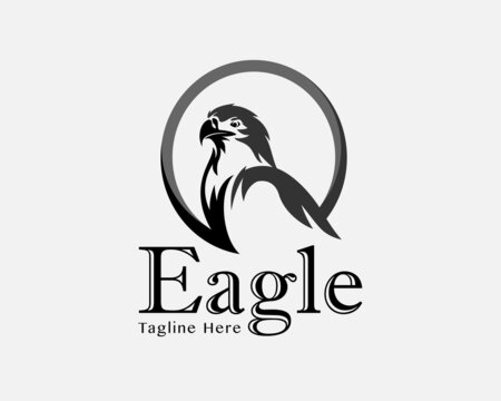 circle eagle falcon hawk profile bird drawn art logo template illustration inspiration