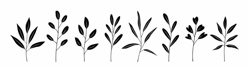 Botanical set of black silhouette twigs with leaves of different shapes. Hand-drawn vector illustration isolated on white background. Perfect for cards, invitations, decorations.