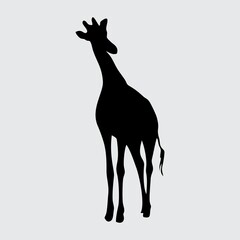 Giraffe Silhouette, Giraffe Isolated On White Background