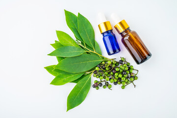 Fresh Litsea cubeba and Litsea cubeba essential oil