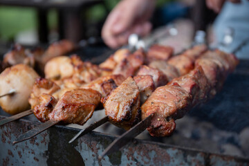 BBQ picnic with kebabs and meat on an open fire on a summer day in the backyard of a private house.