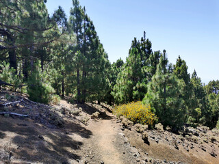 the hiking trail calles 
